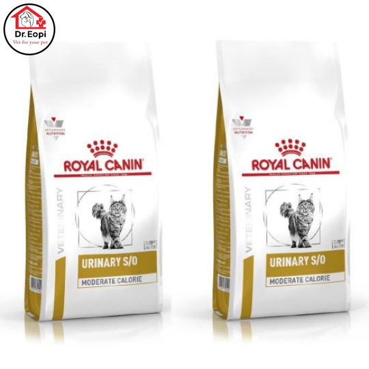 Thức ăn royal canin URINARY S/O 400g - hỗ trợ sức khỏe đường tiết niệu và bàng quang cho Mèo